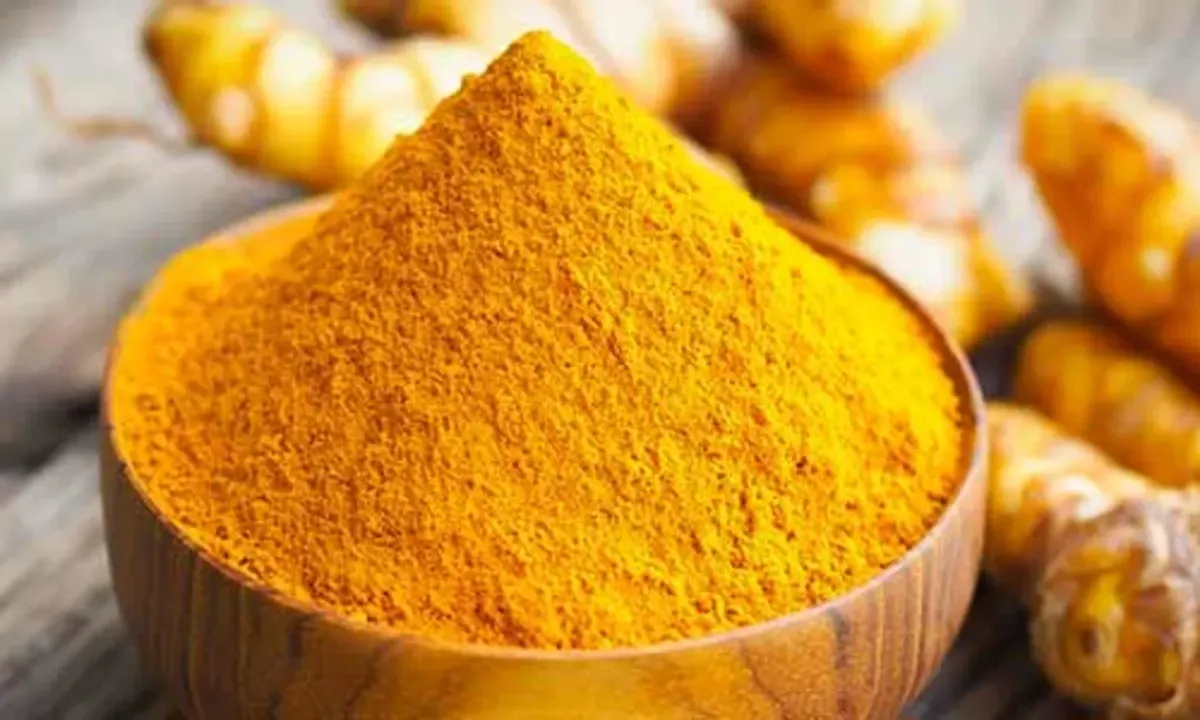 Meghalayan Turmeric